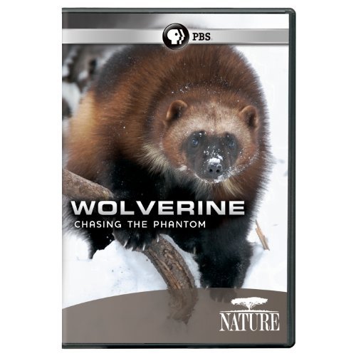 Wolverine Chasing The Phantom Nature Ws Nr 