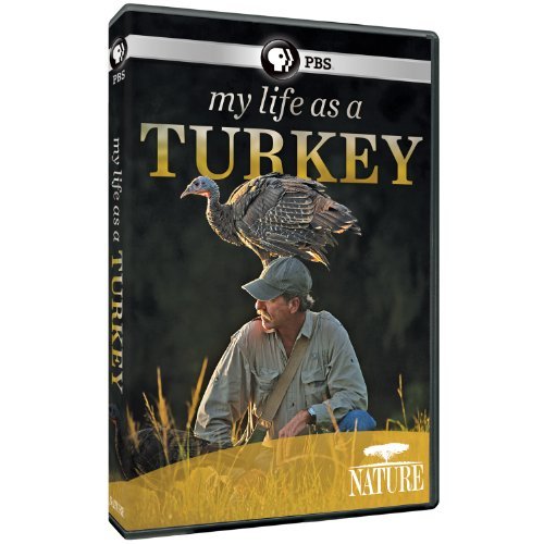 My Life As A Turkey Nature Ws Nr 