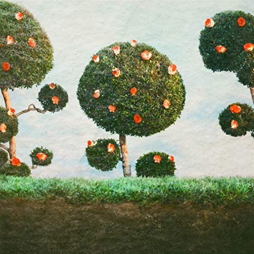 Midnight Sister/Painting The Roses@Amped Exclusive
