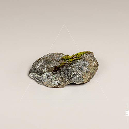 Fergus McCreadie/Cairn