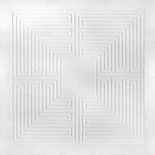 These New Puritans/Hidden (Mmxx)