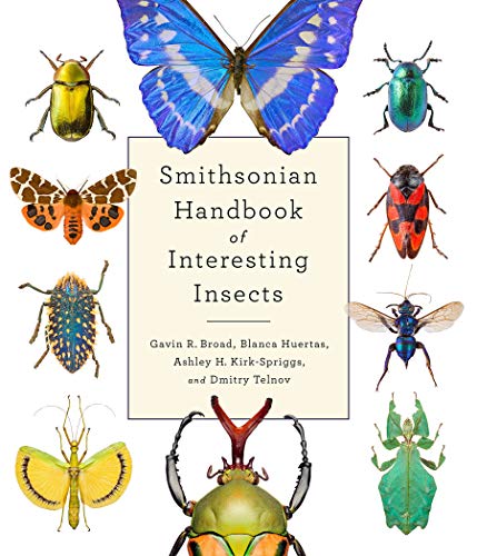 Gavin Broad Smithsonian Handbook Of Interesting Insects 