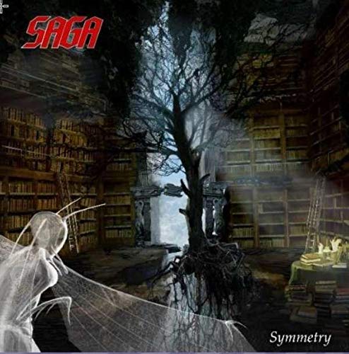 Saga/Symmetry