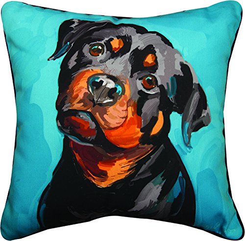 Pillow-Rottie
