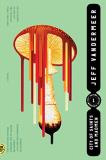 Jeff Vandermeer City Of Saints And Madmen 