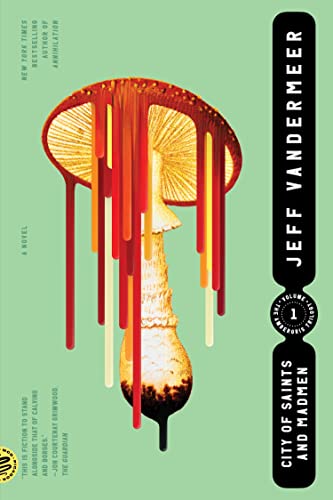 Jeff Vandermeer City Of Saints And Madmen 