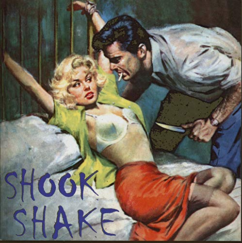 Various Artist/Shook Shake