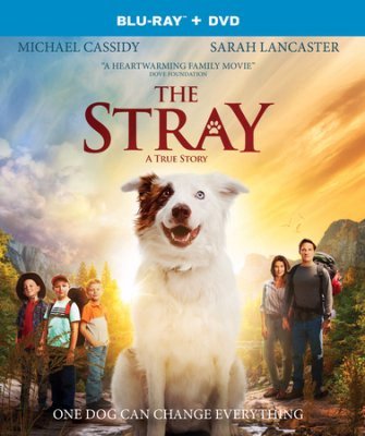 The Stray/The Stray