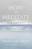 Pema Ch?dr?n How To Meditate A Practical Guide To Making Friends With Your Min 