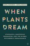 Daniel Pinchbeck When Plants Dream Ayahuasca Amazonian Shamanism And The Global Psy 