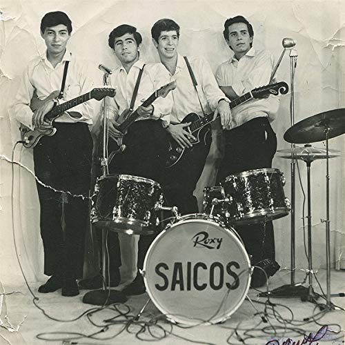 Los Saicos/Demolicion