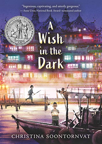 Christina Soontornvat/A Wish in the Dark