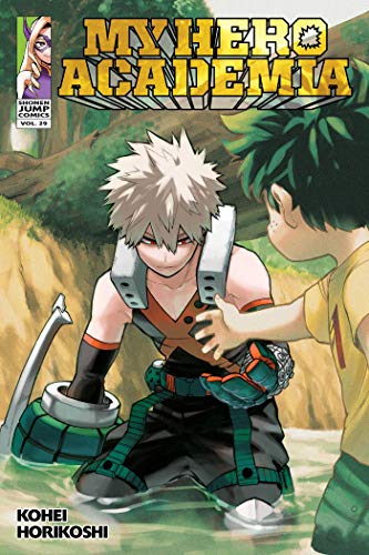 Horikoshi,Kohei/My Hero Academia 29