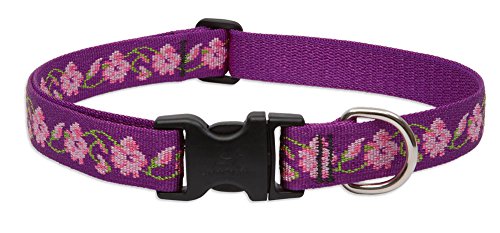 Lupine Dog Collar - Rose Garden