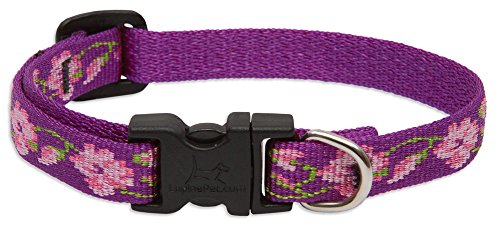 Lupine Dog Collar - Rose Garden