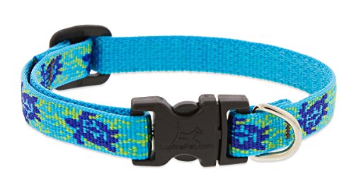 Lupine Dog Collar - Turtle Reef