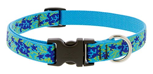Dog Collar