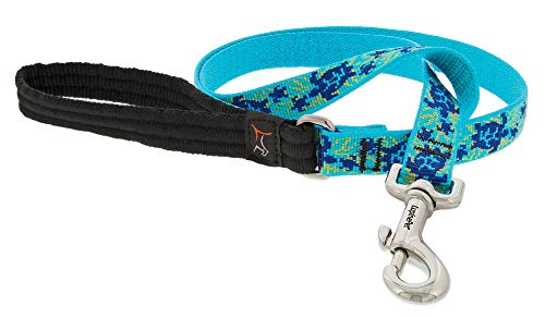 Lupine Dog Leash - Turtle Reef