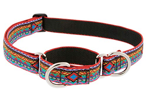 Lupine Dog Martingale Collar - El Paso