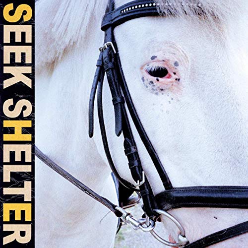 Iceage/Seek Shelter (Orange Vinyl)@Indie Exclusive