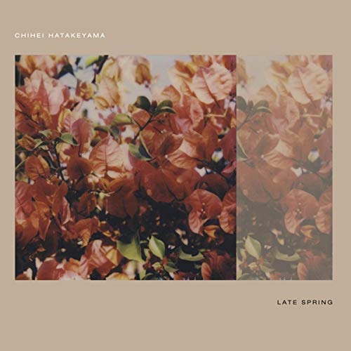 Chihei Hatakeyama/Late Spring