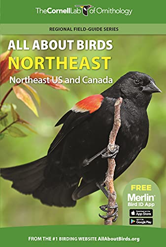Cornell Lab Of Ornithology All About Birds Northeast Northeast Us And Canada 