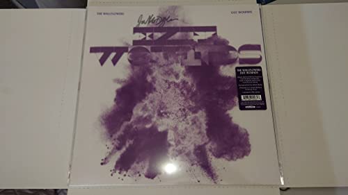 The Wallflowers/Exit Wounds (Super Deluxe Gray & Purple Marble Vinyl)@LP