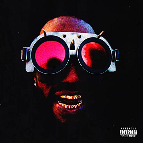 Juicy J/Hustle Continues (Orchid + Lime Green Vinyl 2LP)@180g@Ltd. 3000/RSD 2021 Exclusive