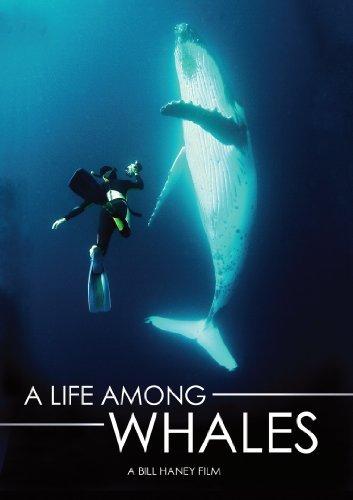 Life Among Whales/Life Among Whales@Nr