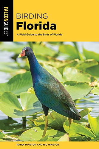 Randi Minetor/Birding Florida@ A Field Guide to the Birds of Florida