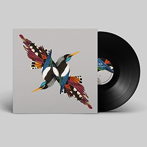 Shire T/Tomorrow's People@140g