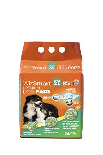 Wizsmart All-Day Dry Dog Pads, Ultra, XL