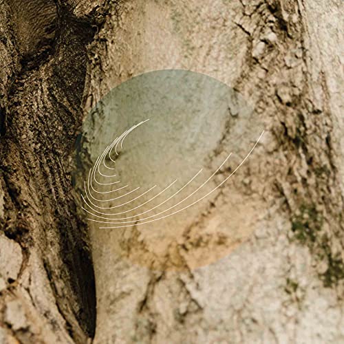Field Works/Maples Ash & Oaks: Cedars Inst@Amped Exclusive