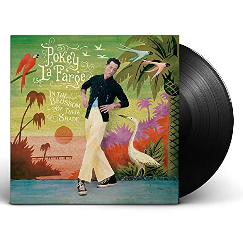 Pokey LaFarge/In The Blossom of Their Shade