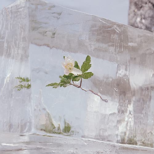 Efterklang/WINDFLOWERS