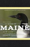 Nick Lund American Birding Association Field Guide To Birds 