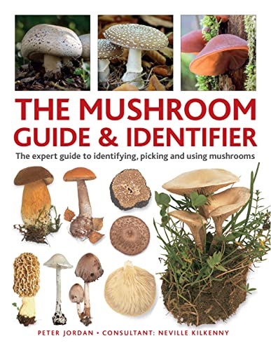 Peter Jordan The Mushroom Guide & Identifer An Expert Manual For Identifying Picking And Usi 