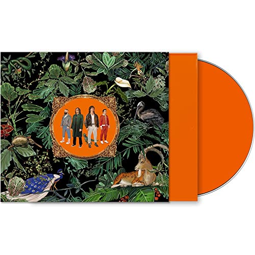 Don Broco/Amazing Things (Orange Jewel Case)