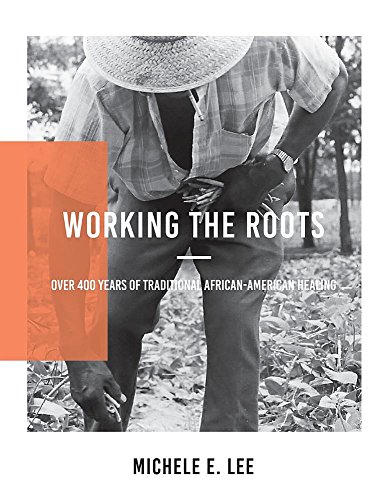 Michele Elizabeth Lee Working The Roots Over 400 Years Of Traditional African American He 