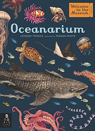 Loveday Trinick Oceanarium Welcome To The Museum 