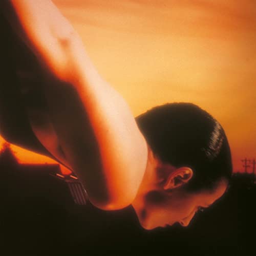 Porcupine Tree/On The Sunday Of Life