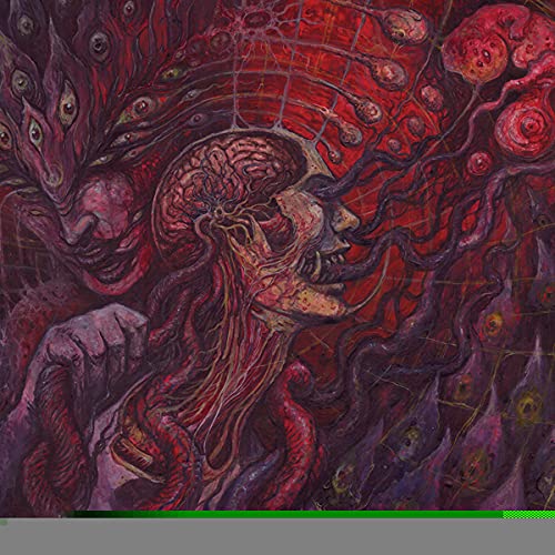 Qrixkuor/Poison Palinopsia