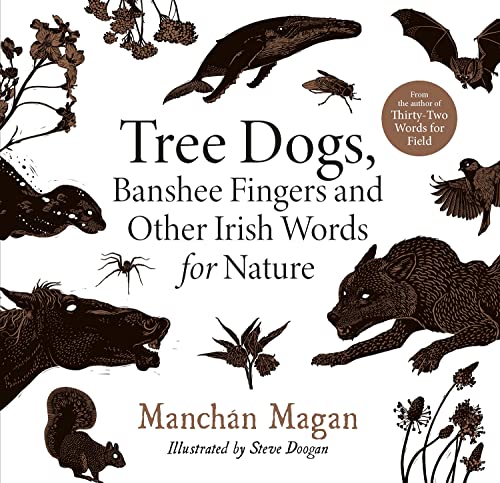 Manch?n Magan Tree Dogs Banshee Fingers And Other Irish Words F 