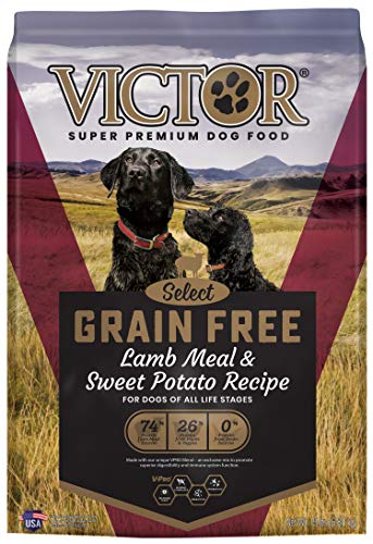 VICTOR Grain Free Sensitive Skin and Stomach Recipe For Dogs