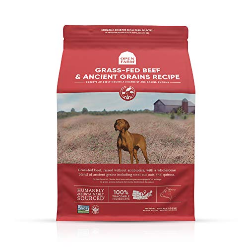 Open Farm Grass-Fed Beef & Ancient Grains Dry Dog Food