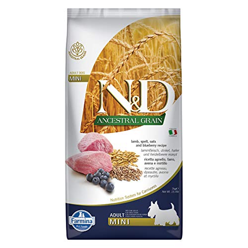 Farmina N&D Ancestral Grain Canine Lamb & Blueberry Adult Mini