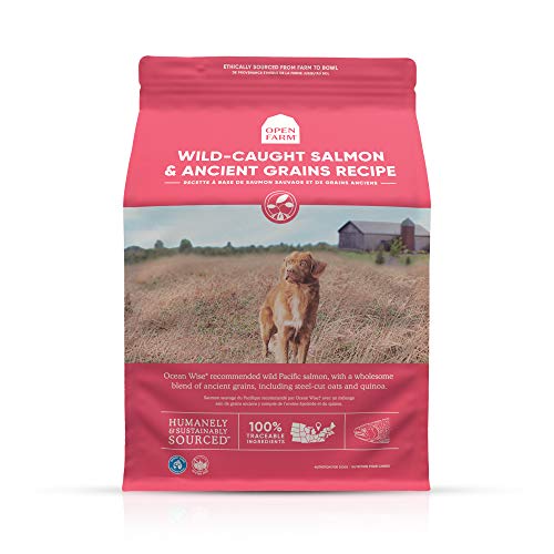 Open Farm Dog Ancient Grain Dry Dog Food, Salmon-Salmon