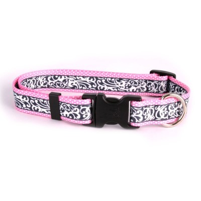 Yellow Dog - Chantilly Pink Collar