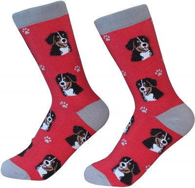 Sock Daddy Breed Socks, Bernese Mountain Dog