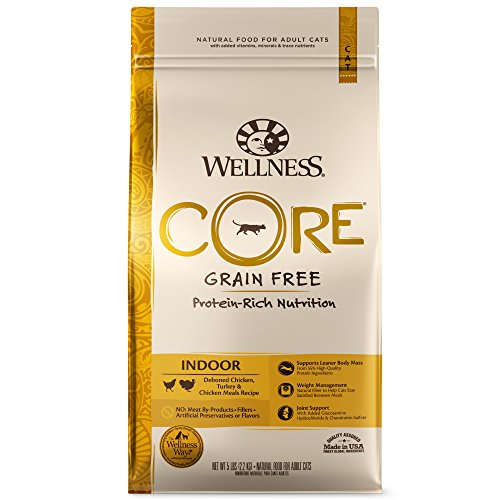 Wellness CORE Indoor Cat Food